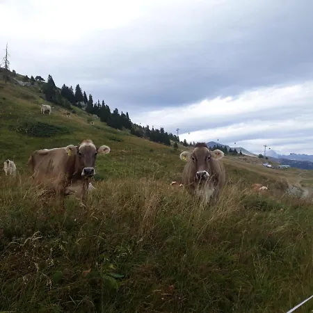 Appartamento 32 Crans-Montana